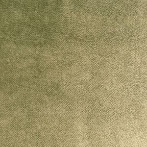 PALAZZO—4764